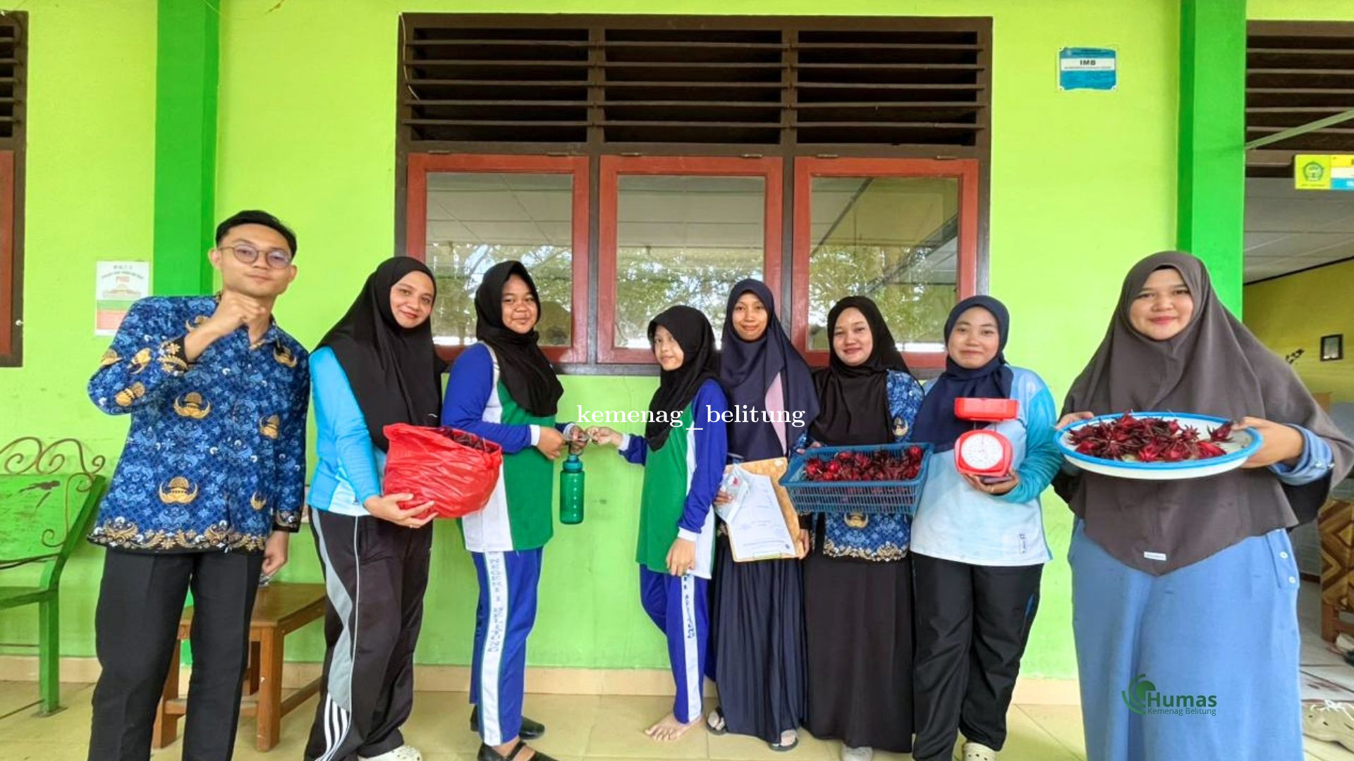 Siswa dan Guru MTsN 1 Belitung Panen Rosela di Kebun Madrasah